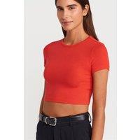 Dilvin Women's Crop Slim-Fit Crew Neck T-Shirt in Orange | Size: Small