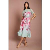 Coast Women's Lisa Tan Lace Pleated Printed Midi Dress in Sage | Size: 10