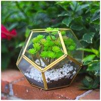 Living and Home Tabletop Glass Geometric Plant Terrarium Planter for Succulents in Clear