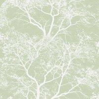 Holden Dcor Whispering Trees Wallpaper in Green