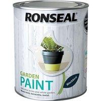 Ronseal Garden Paint Black Bird 750Ml