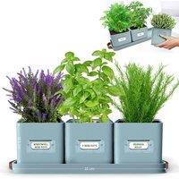 Green Thumbz Set of 3 Herb Planter Indoor with Leather Handled Tray in Teal