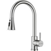 Blylund Modern Kitchen Tap - Brushed Nickel Pull-Out Sprayer in Silver