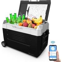 FLAVORA 45L Electric Compressor Car Refrigerator in Black | Size: 1000ml