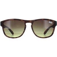 Superdry Men's Square Brown Brown Rockstar