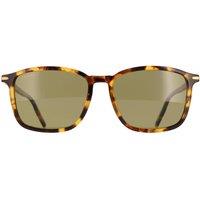 Serengeti Men's Rectangle Shiny Classic Havana Mineral Polarized 555nm Lenwood in Brown