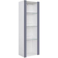 FORGEVIO White Matt Grey High Gloss Display Cabinet RGB LED 3 Glass Shelves