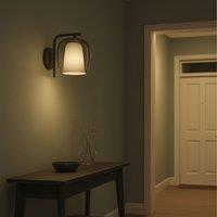 Eglo Ciampino Black Steel & Glass Modern Wall Light