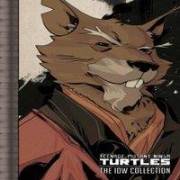 Kevin Eastman Teenage Mutant Ninja Turtles: The IDW Collection Volume 2
