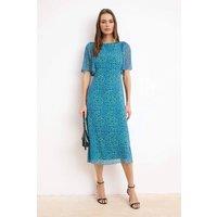 WOVCOR Women's Animal Print Flutter Sleeve Midi Occasion Dress | Size: 14