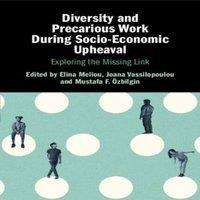 Cambridge University Press Diversity & Precarious Work During Socio-Economic Upheaval