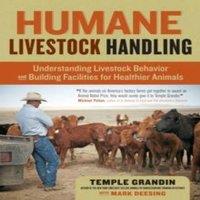 Temple Grandin Humane Livestock Handling: Understanding livestock behavior and