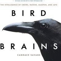 Candace Savage Bird Brains : The Intelligence of Crows, Ravens, Magpies, & Jays