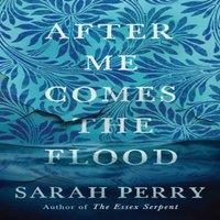 Sarah Perry After Me Comes the Flood : From the author of The Essex Serpent