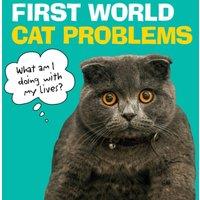 TBD First World Cat Problems : What am I doing with my lives?