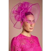 Coast Women's Structured Mesh Bow Flat Fascinator in Magenta