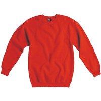 SG Men's Raglan Sleeve Crew Neck Sweatshirt in Red | Size: XL