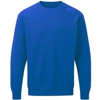 SG Men's Raglan Sleeve Crew Neck Sweatshirt in Royal | Size: 2XL