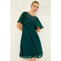 Roman Women's Petite Embellished Skater Dress in Green | Size: 12