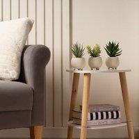 Scottish Everlastings Ltd Set of 3 15cm Succulents in Cement Pot in Green