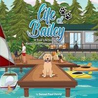 Sensei Paul David Life of Bailey: A True Life Story: BAILEY GOES COTTAGE CAMPING