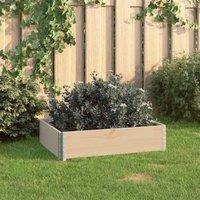 Berkfield Home Raised Bed 60x80 cm Solid Pine Wood (310048) in Brown
