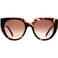 Prada Women's Cat Eye Caramel Tortoise & Powder Brown Gradient PR14WS