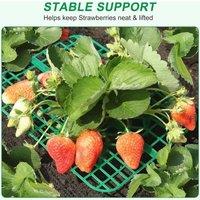 EONLION 10 Pack Strawberry Plant Supports in Green | Size: 100g