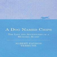 Albert Payson Terhune A Dog Named Chips - The Life & Adventures of a Mongrel Scamp
