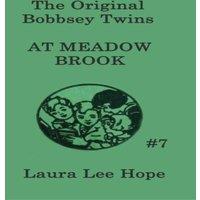 Laura Lee Hope The Bobbsey Twins at Meadow Brook: A Classic Bobbsey Twins