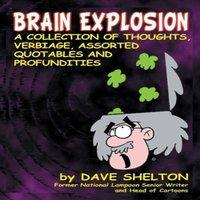 Dave Shelton Brain Explosion: A Collection of Thoughts, Verbiage, Assorted