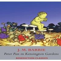 J. M. Barrie Peter Pan in Kensington Gardens: (Fully illustrated in color: 53