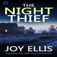 Joy Ellis THE NIGHT THIEF a gripping crime thriller full of stunning twists