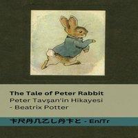 Beatrix Potter The Tale of Peter Rabbit / Peter Tavan'in Hikayesi : Tranzlaty