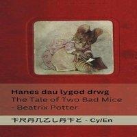 Beatrix Potter Hanes dau lygod drwg / The Tale of Two Bad Mice: Tranzlaty Cymraeg