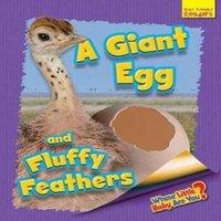 Ellen Lawrence Whose Little Baby Are You? A Giant Egg & Fluffy Feathers