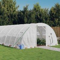 Berkfield Home Greenhouse with Steel Frame White 24 m 6x4x2 m