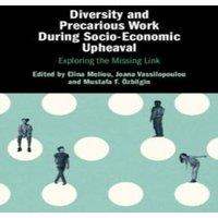 Cambridge University Press Diversity & Precarious Work During Socio-Economic Upheaval