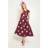 Wallis Women's Petite Spot Ottoman Fit & Flare Midi Dress in Wine | Size: 18