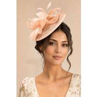 SVNX Women's Feather & Bow Disc Fascinator in Pink