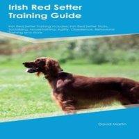 David Martin Irish Red Setter Training Guide Irish Red Setter Training