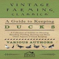Various Authors A Guide to Keeping Ducks - A Collection of Articles on Housing