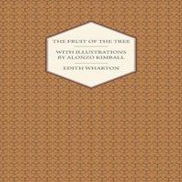 Edith Wharton The Fruit of the Tree - With Illustrations by Alonzo Kimball