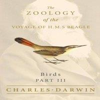 Charles Darwin Birds - Part III - The Zoology of the Voyage of H.M.S Beagle ;