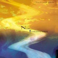 Zondervan Levande Bibeln, Swedish New Testament, Paperback: Nya Testamentet
