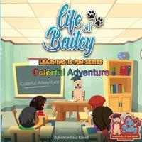 Sensei Paul David Life of Bailey Learning Is Fun Series: Colorful Adventure