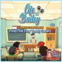 Sensei Paul David Life of Bailey Learning Is Fun Series: Find The Tiny Teddy Bears