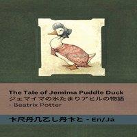 Beatrix Potter The Tale of Jemima Puddle Duck /