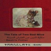 Beatrix Potter The Tale of Two Bad Mice /