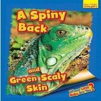 Ellen Lawrence Whose Little Baby Are You? A Spiny Back & Green Scaly Skin